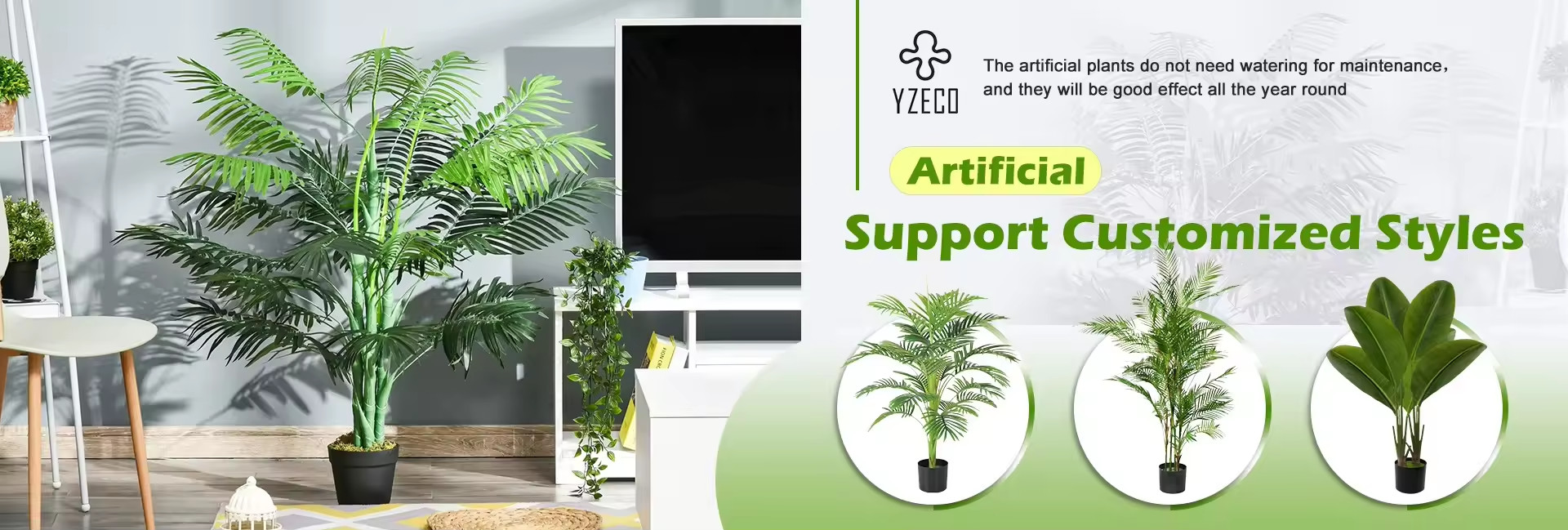 품질 자연적 으로 보존 된 무스 공장