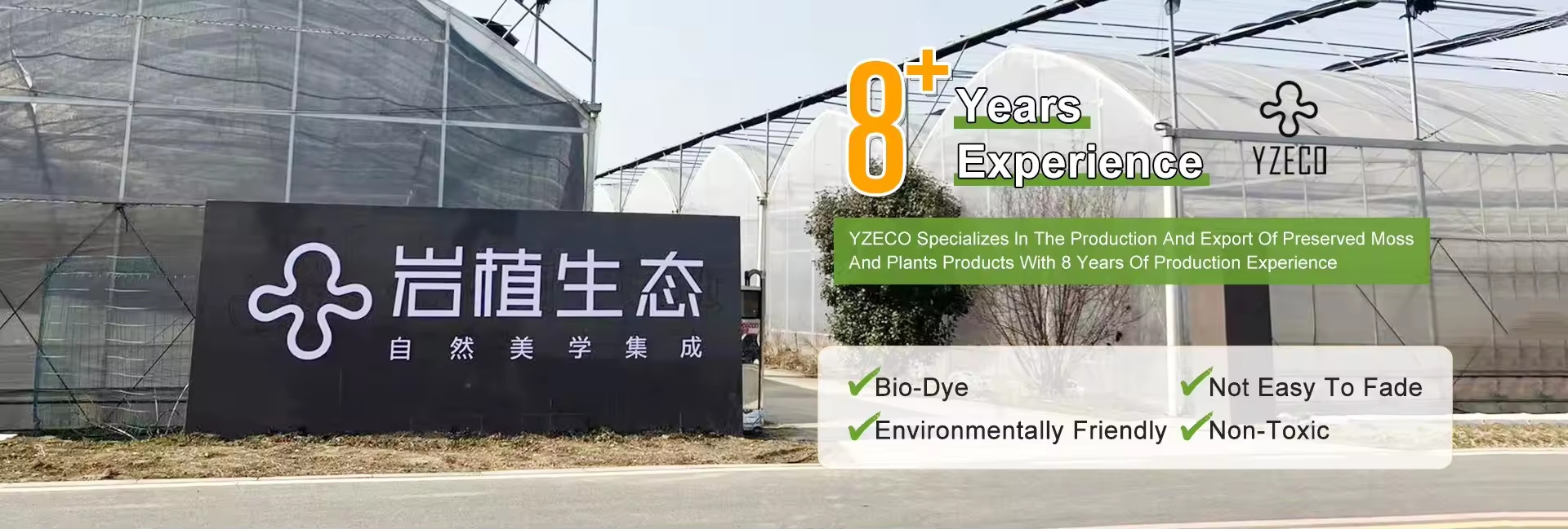 품질 자연적 으로 보존 된 무스 공장